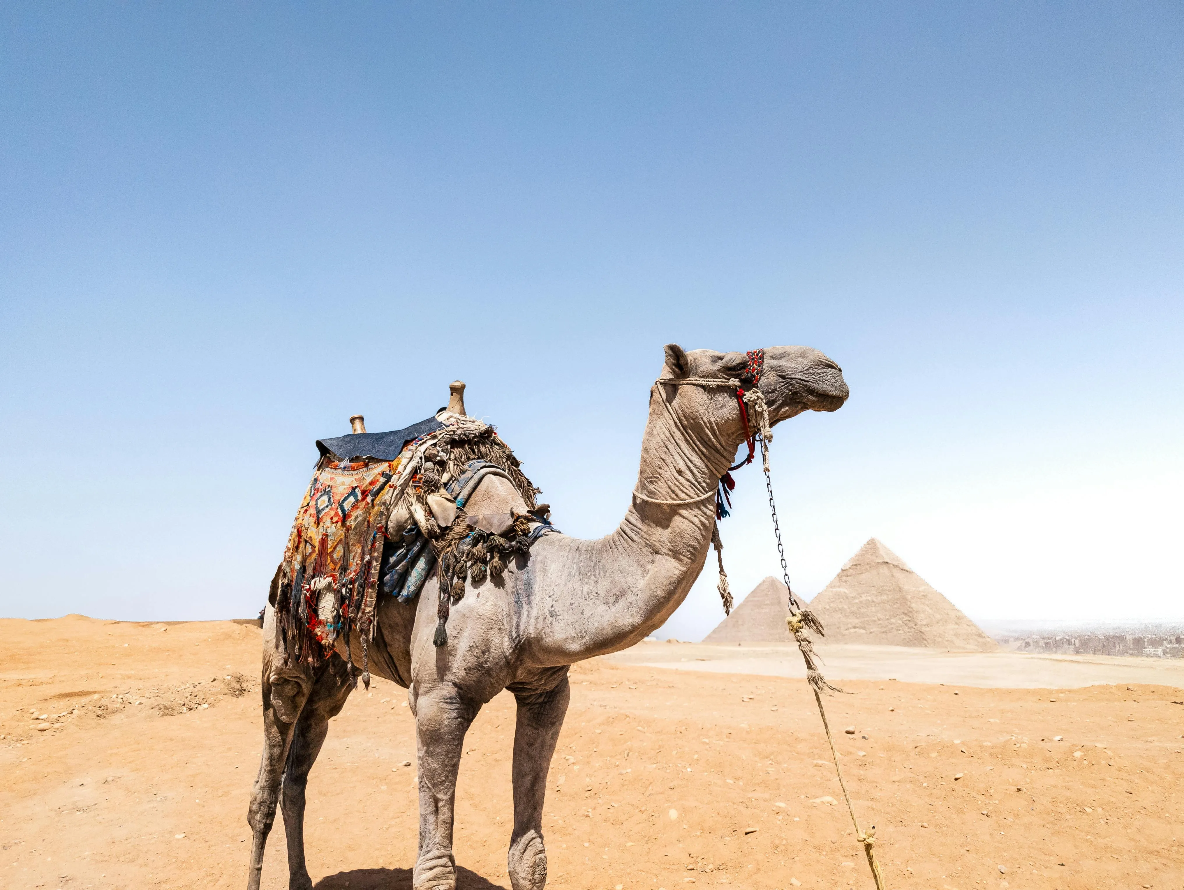 Desert traveler prepared for sun and wind during a White Desert Egypt safari