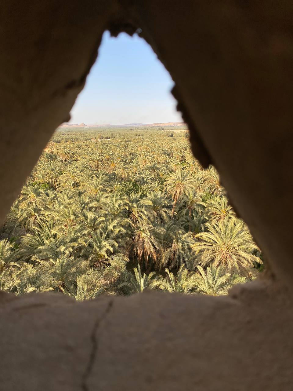 Oasis view framed from hotel balcony