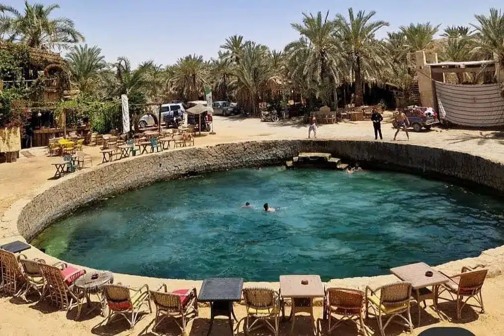 Alexandria Siwa Tour – Siwa salt lake