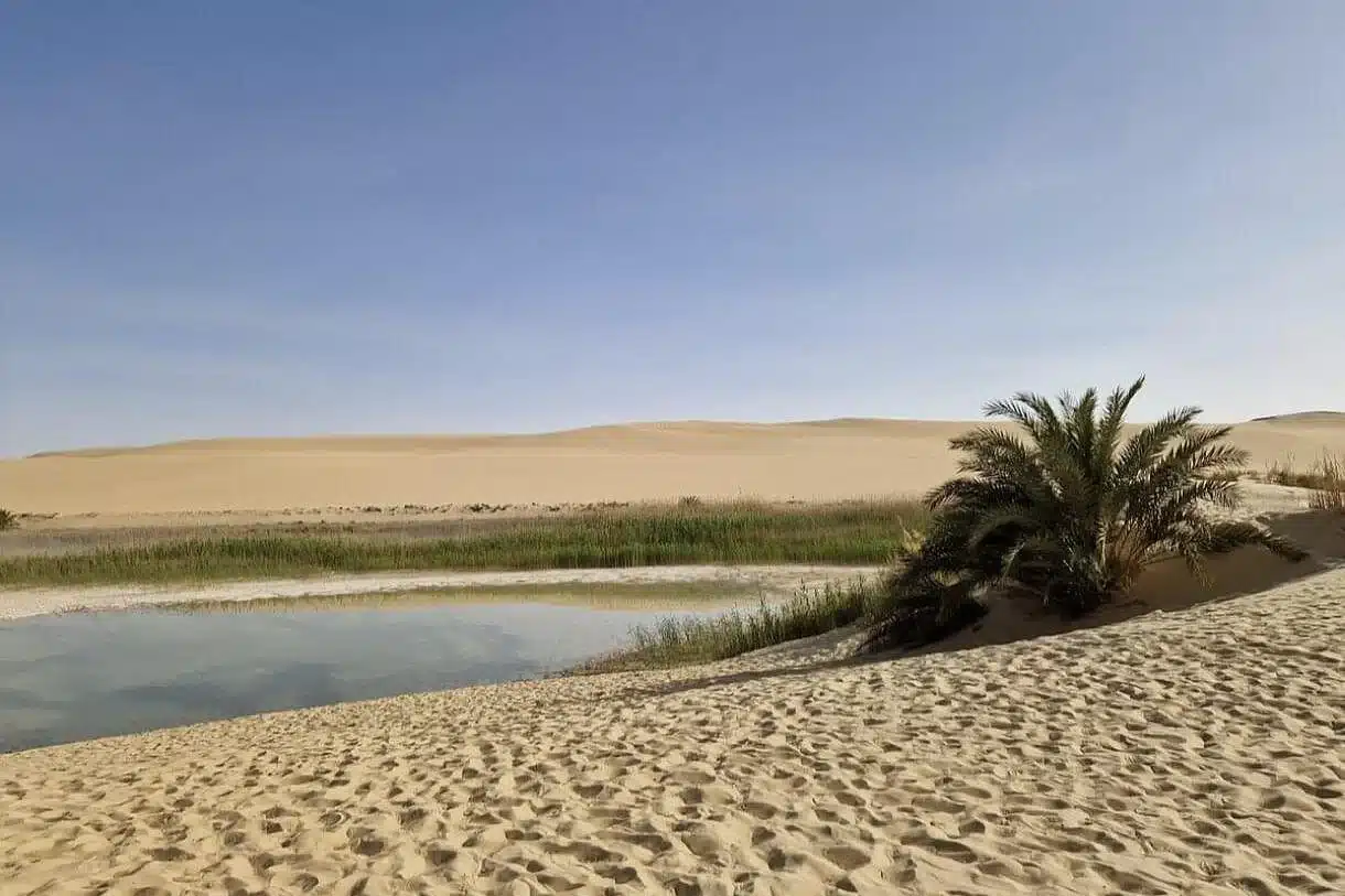 4-Day Siwa Tour Alexandria – Great Sand Sea route