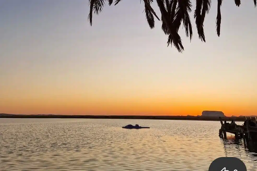 Alexandria Siwa Tour – Shali Fortress and oasis heritage