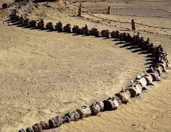 Fayoum Adventure: Magic Lake, Waterfalls, and Desert Safari