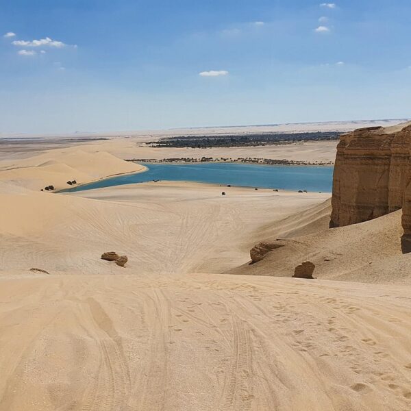 Fayoum Adventure: Magic Lake, Waterfalls, and Desert Safari