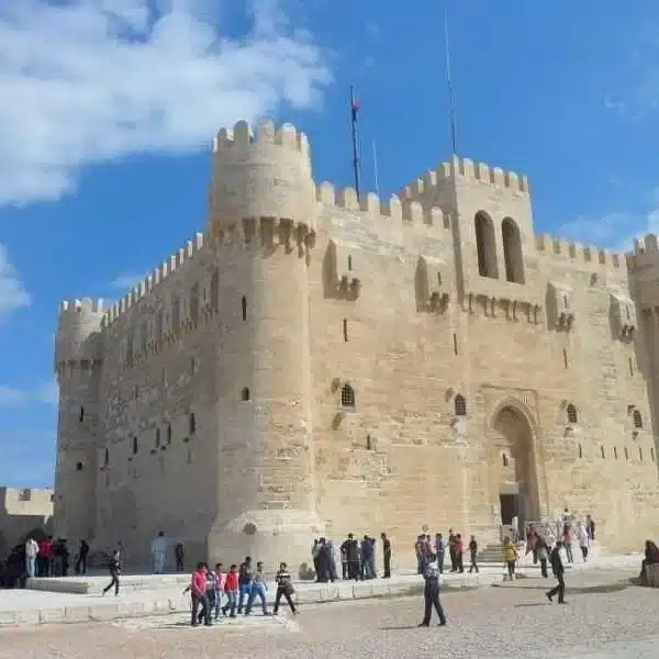 The Best Highlights Of Cairo & Giza and Alexandria