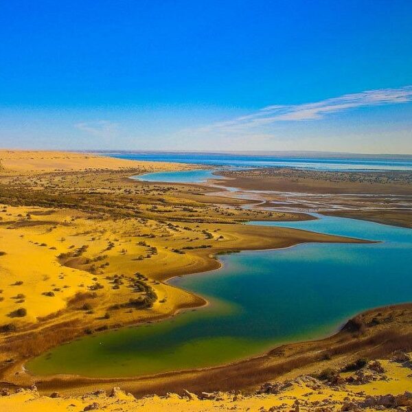 From Cairo: Full-Day Tour to El Fayoum