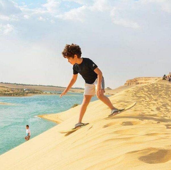 From Cairo: Full-Day Tour to El Fayoum