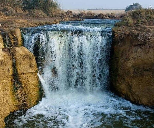 From Cairo: Full-Day Tour to El Fayoum