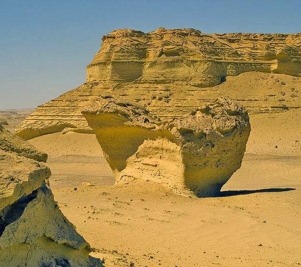 From Cairo: Full-Day Tour to El Fayoum