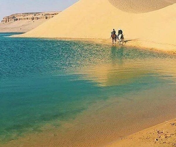 Fayoum Adventure: Magic Lake, Waterfalls, and Desert Safari