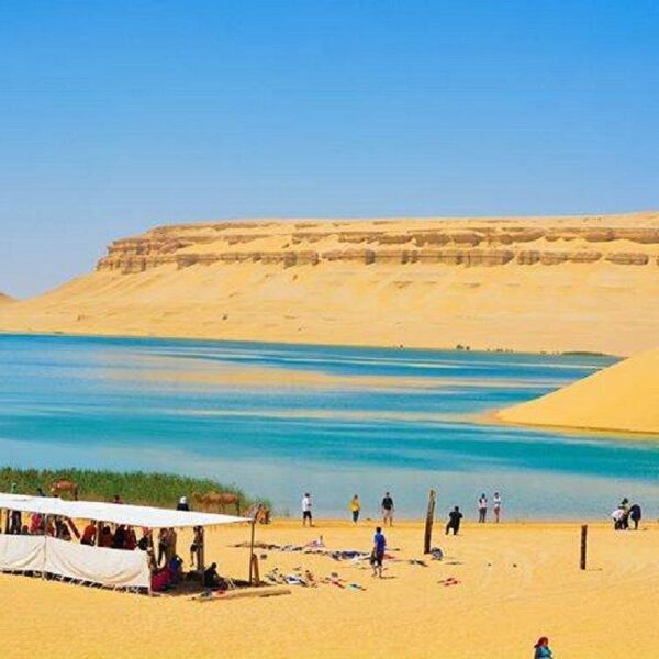 Fayoum Adventure: Magic Lake, Waterfalls, and Desert Safari