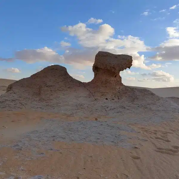 2 days Siwa Oasis and Alexandria from Cairo