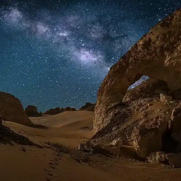 The White Desert Explorer