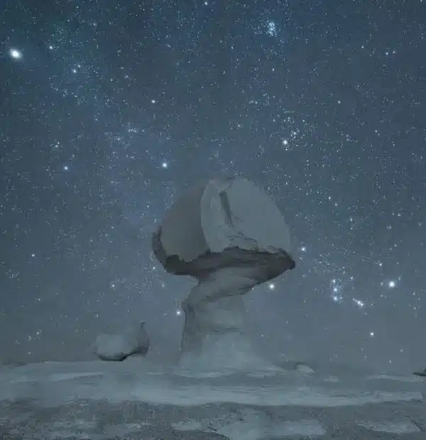 2 day White Desert camping tour under the stars