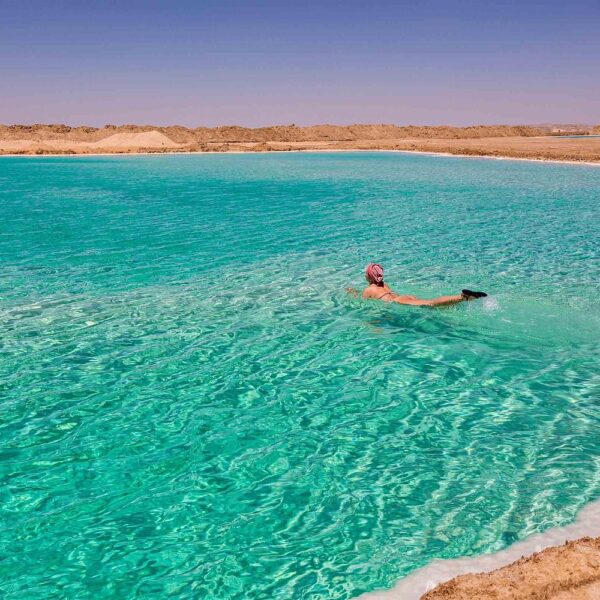 2 Nights 3 Days at Siwa Oases camp from Cairo