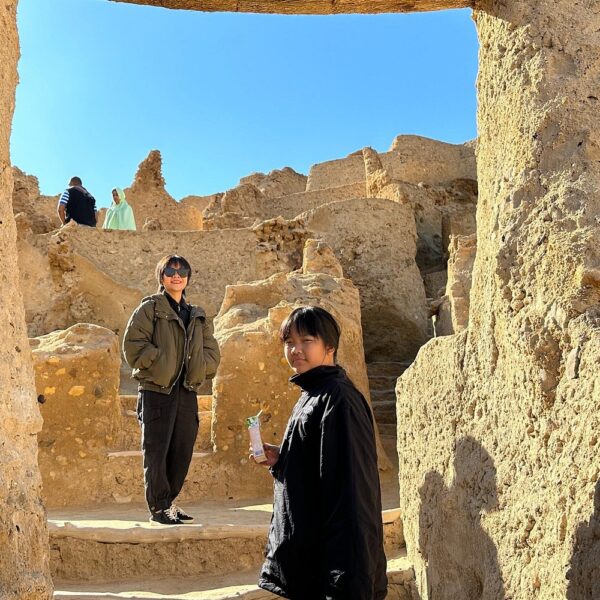 5 Day Siwa & Bahariya Oases African Sahara Camping Adventure