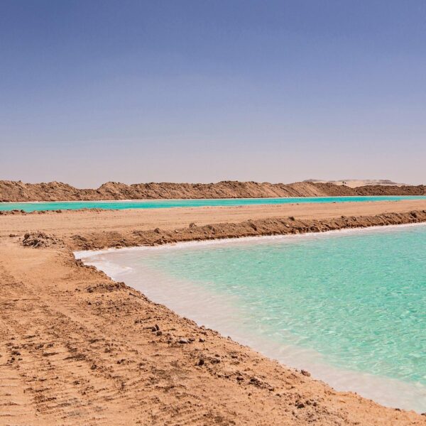 2 Nights 3 Days at Siwa Oases camp from Cairo