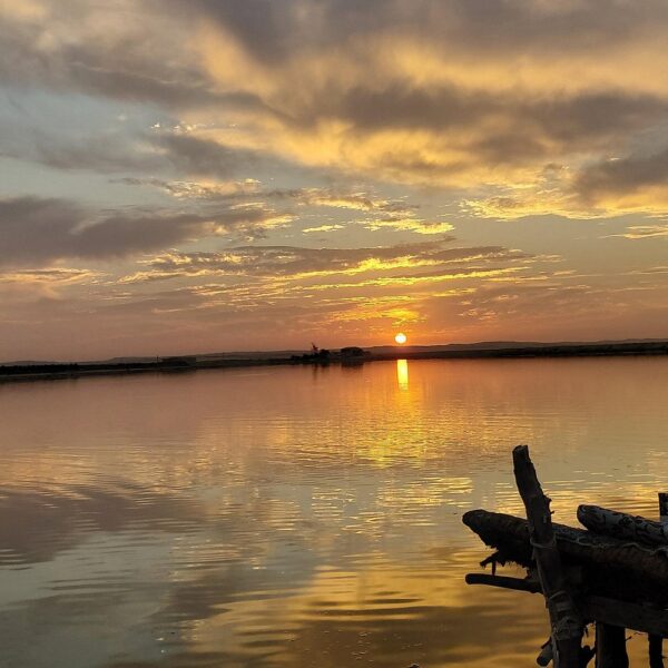 From Cairo: 4-Days Siwa Oasis Odyssey