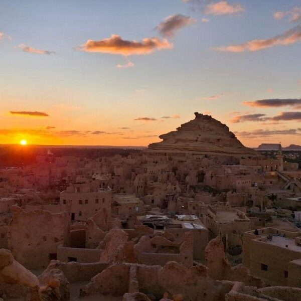 Cairo: 3-Day Siwa Oasis Tour, Safari, Camp & Historical Site