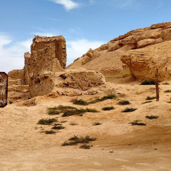 From Cairo: 4-Days Siwa Oasis Odyssey