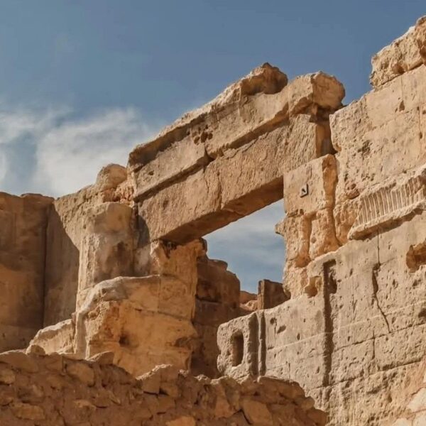 2 Nights 3 Days at Siwa Oases camp from Cairo
