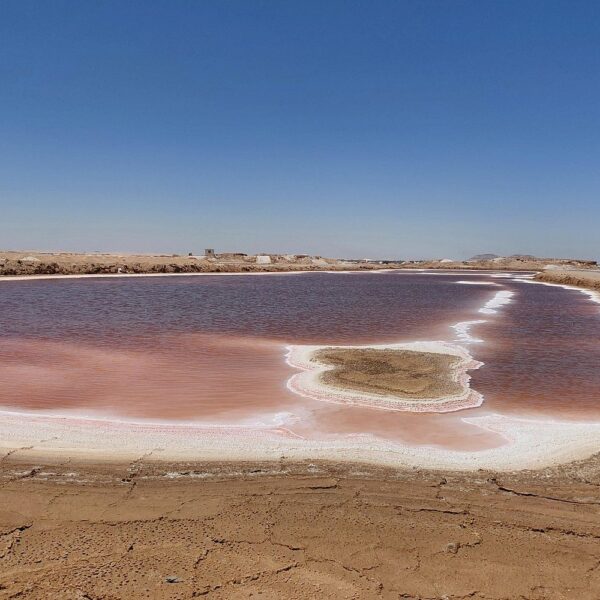 2 Nights 3 Days at Siwa Oases camp from Cairo