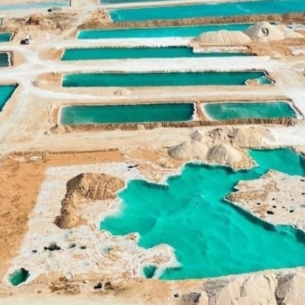 From Cairo: 4-Days Siwa Oasis Odyssey