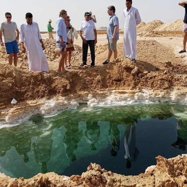 Cairo: 3-Day Siwa Oasis Tour, Safari, Camp & Historical Site