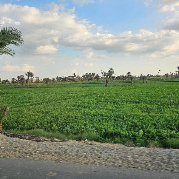 From Cairo: El Fayoum Pyramids of Hawara, El Lahun & Meidum.