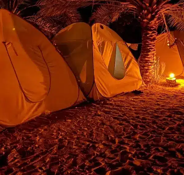 3 days tour Package to siwa oasis from Cairo