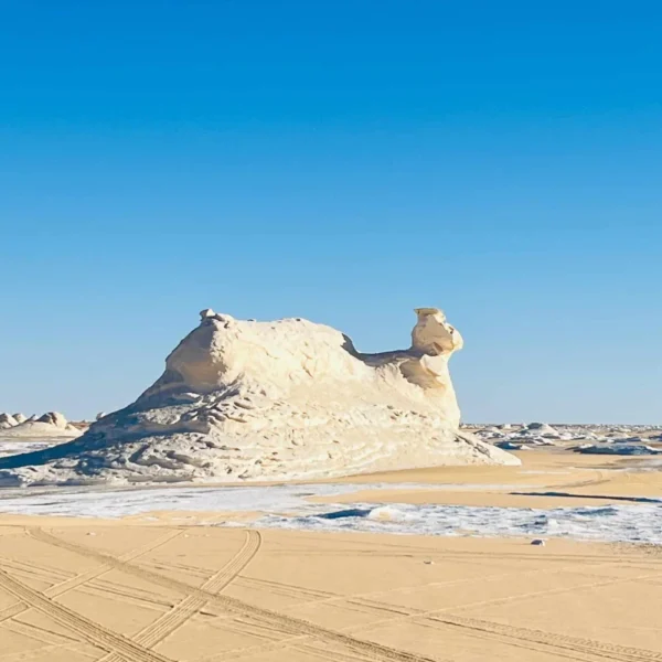 Large White Desert chalk formation above desert vehicle tracks