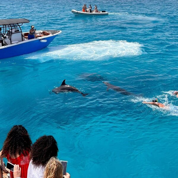 Orange Bay Island Full-Day Snorkeling Trip from Sahl Hasheesh