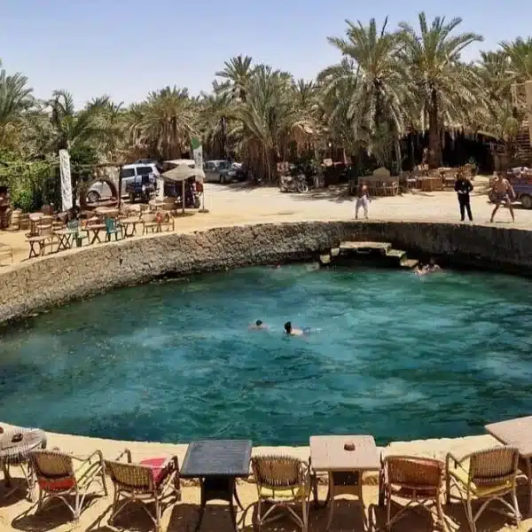 4 days tour Package to siwa oasis from Alexandria