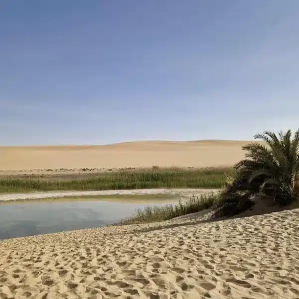4 days tour Package to siwa oasis from Alexandria