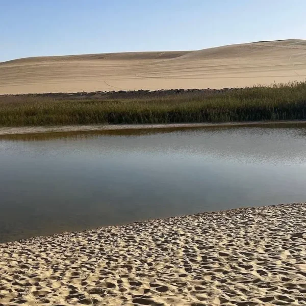 4 Day trip to Alexandria and Siwa oasis from Cairo