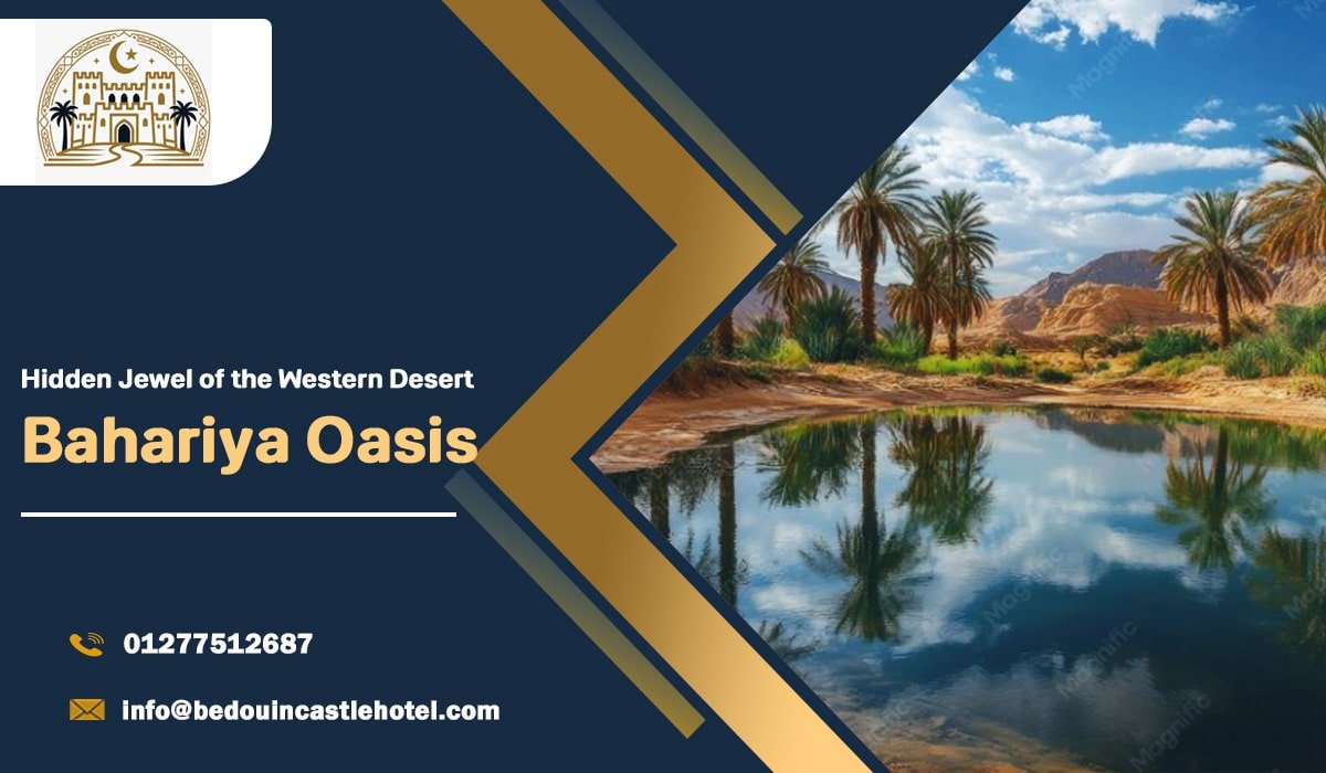 Bahariya Oasis