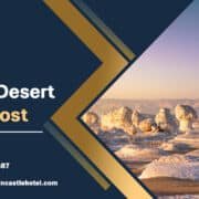 White Desert Tour Cost