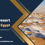 White Desert, Western Egypt: