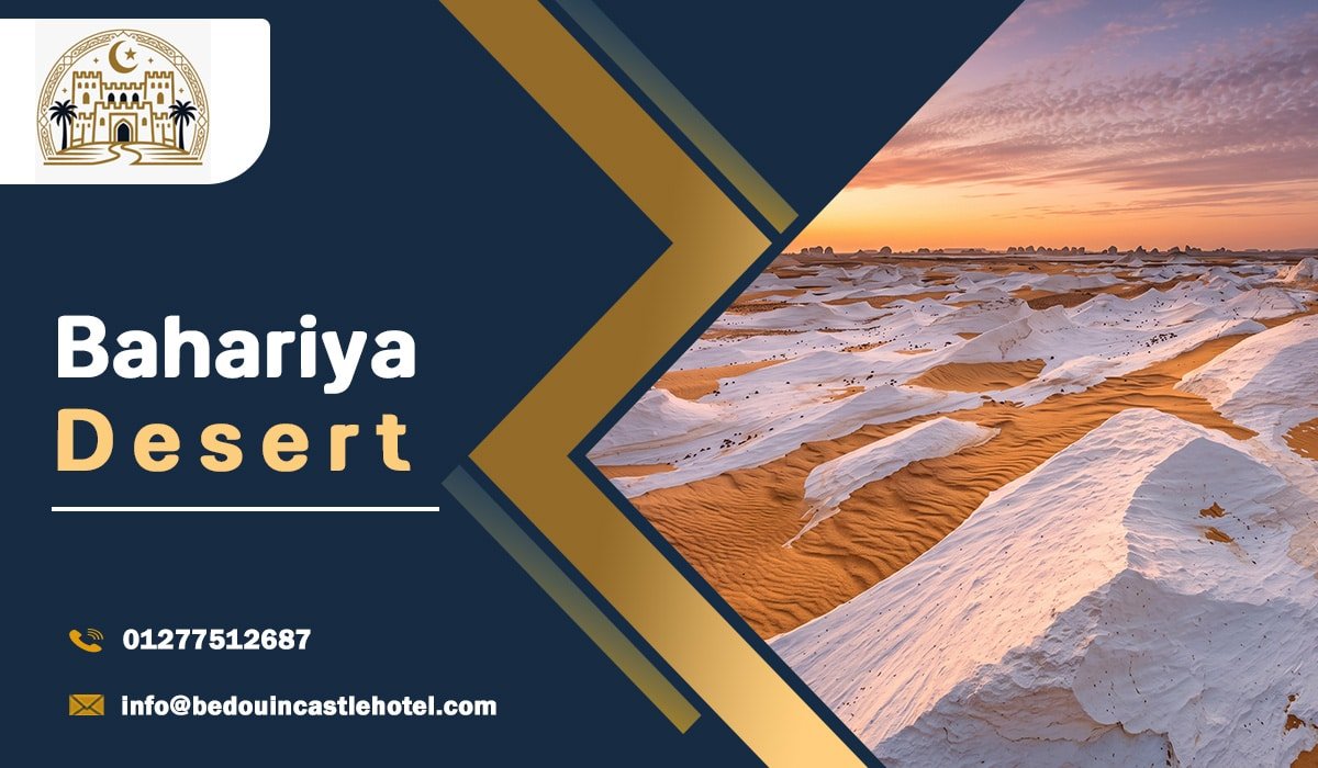 Bahariya Desert