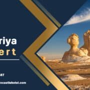 Bahariya Oasis Guide: Egypt’s Desert Gateway to the Extraordinary