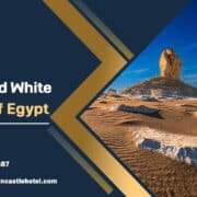 Black and White Desert of Egypt
