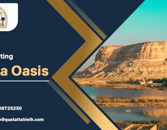Enchanting Siwa Oasis: A Journey Through Egypt’s Desert Paradise|01277512687