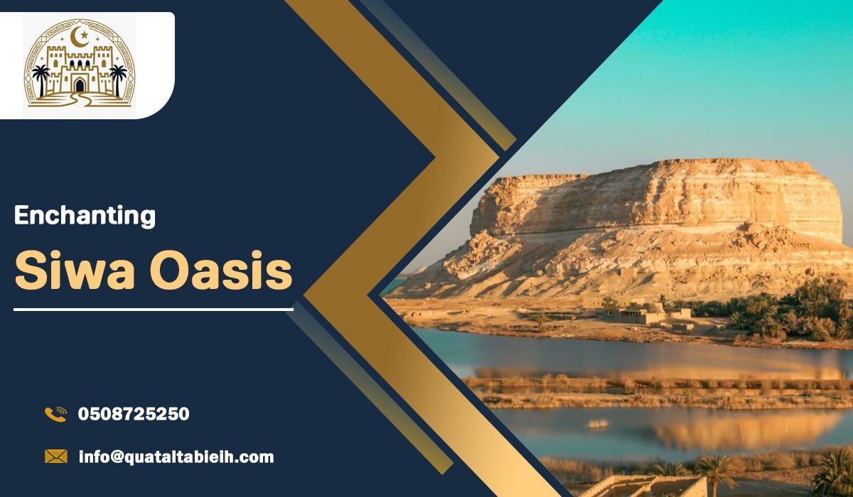 Enchanting Siwa Oasis: A Journey Through Egypt’s Desert Paradise|01277512687