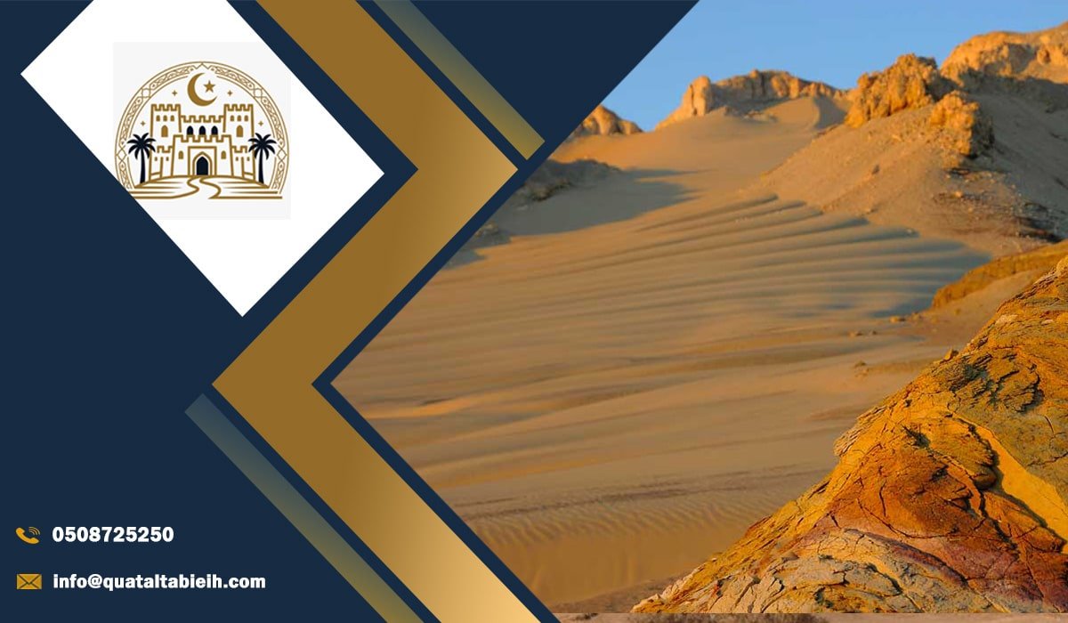 Embark on Your Western Desert Adventure Today