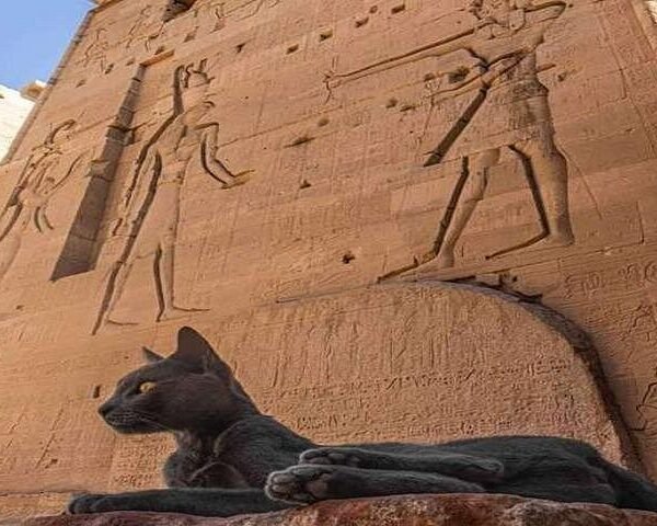 Luxor: 4 Days Nile Cruise with Guided Tours & Abu Simbel