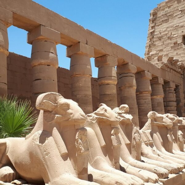 Luxor: West & East Banks & Tut's Tomb Private Full-Day Tour